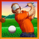 Neo Turf Masters sur Android
