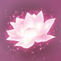 Lotus Digital sur iPhone / iPad